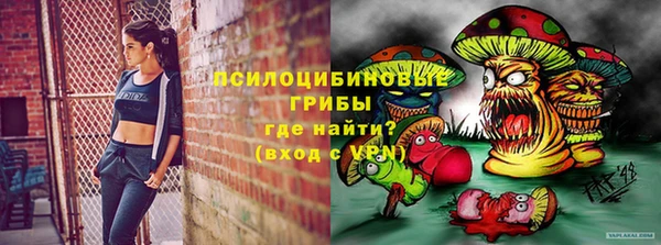 шишки Вязники